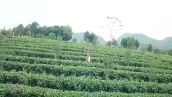 渔乐圈最新爆料消息今天